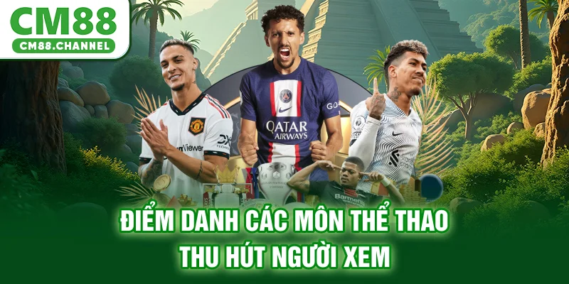 Điểm danh các môn thể thao thu hút người xem