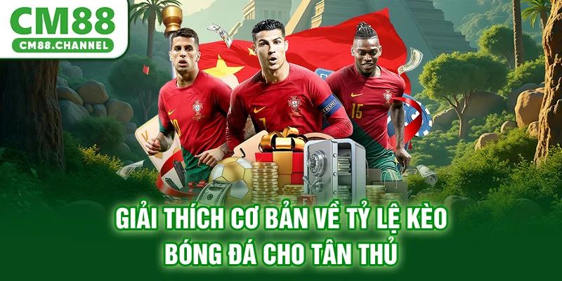 Giải thích cơ bản về tỷ lệ kèo bóng đá cho tân thủ