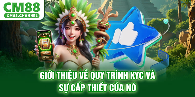 Giới thiệu về quy trình KYC và sự cấp thiết của nó