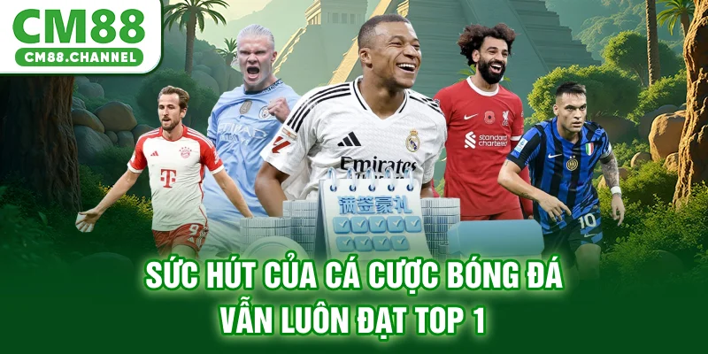 Sức hút của cá cược bóng đá vẫn luôn đạt TOP 1